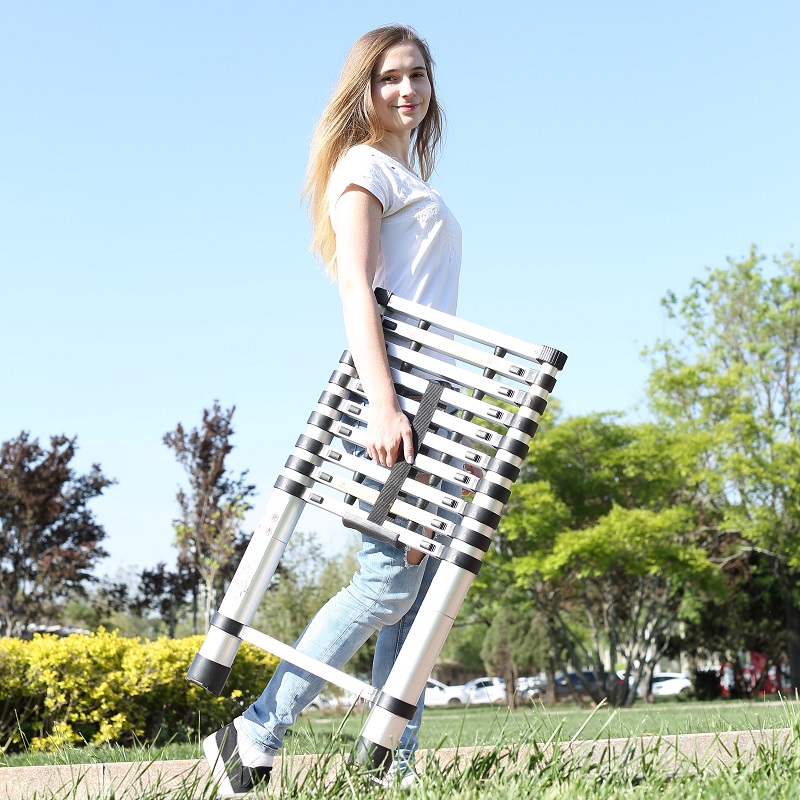 Telescopic Ladder