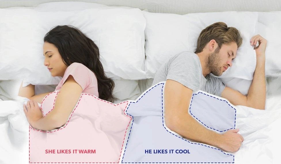 Gaga-25 400tc Male Female Goose Down Duvet