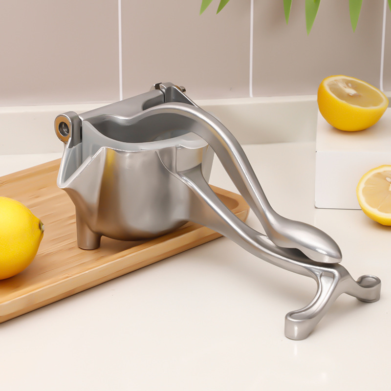 fruit juicer squeezer extractor