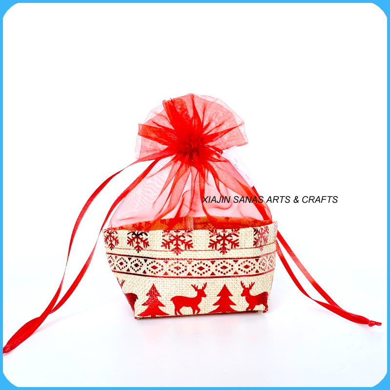 X'MAS gift bag