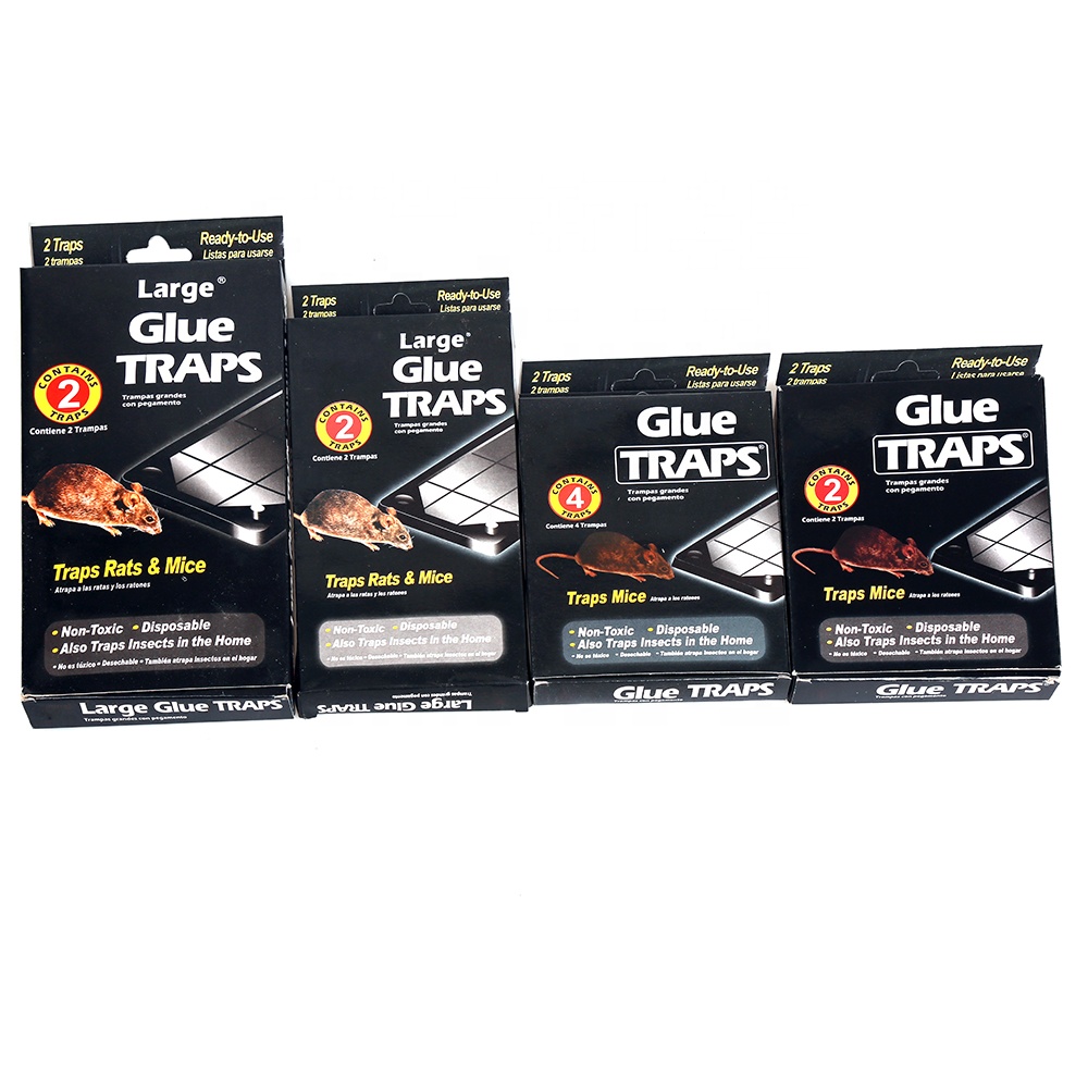 Best Plastic board Glue Trap