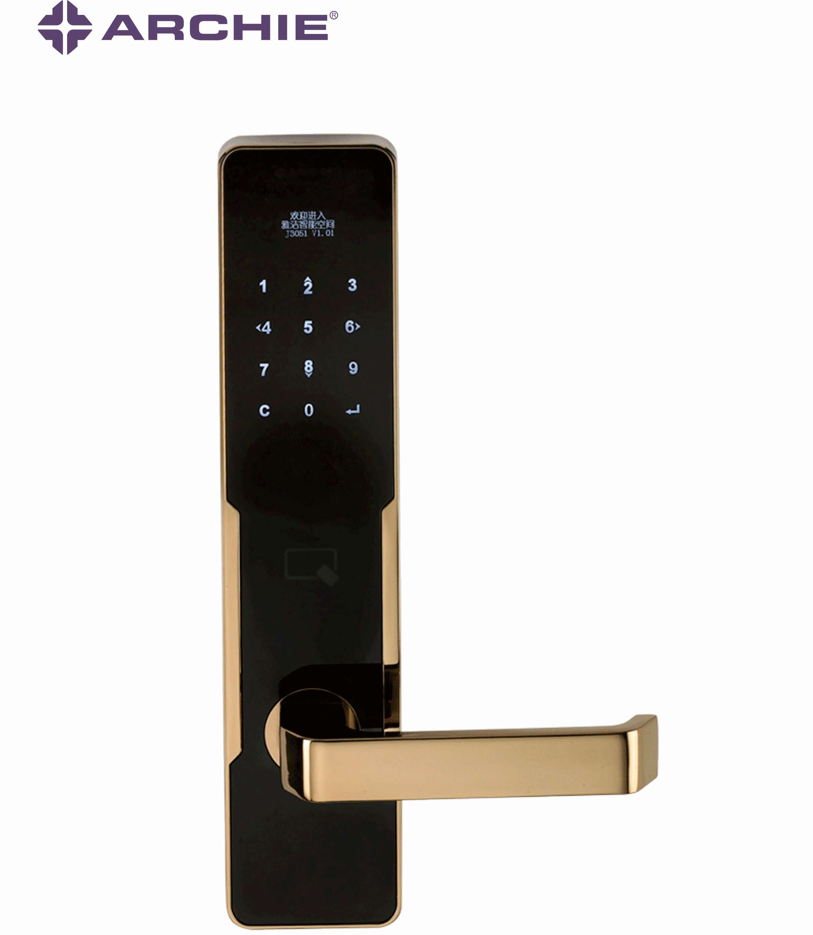 Pin Card Apartment Anti-bacteria Smart Lock
