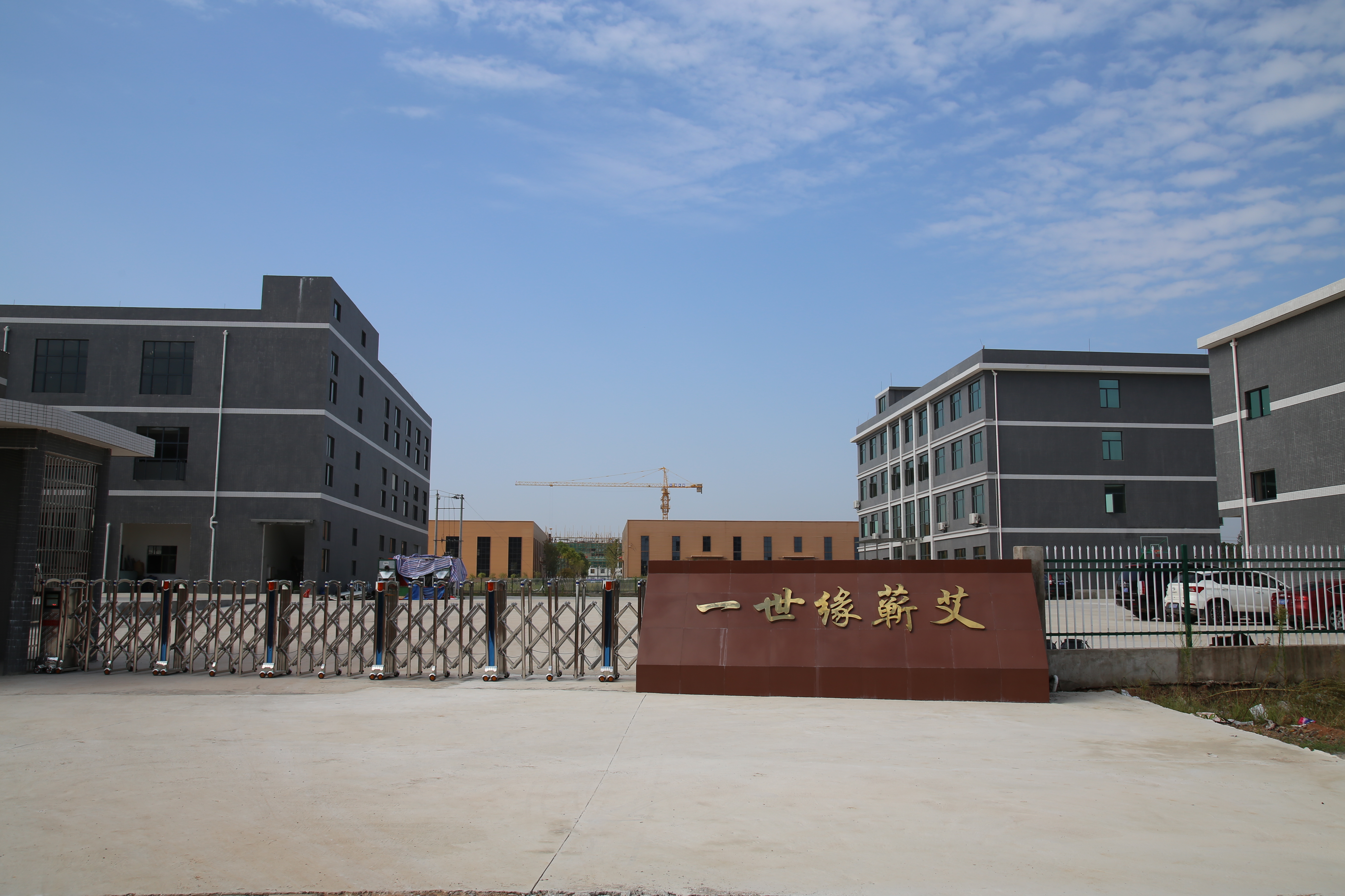 Hubei Yishiyuan Qiai Biotechnology Co., Ltd. – Other Chinese medicinal materials 1