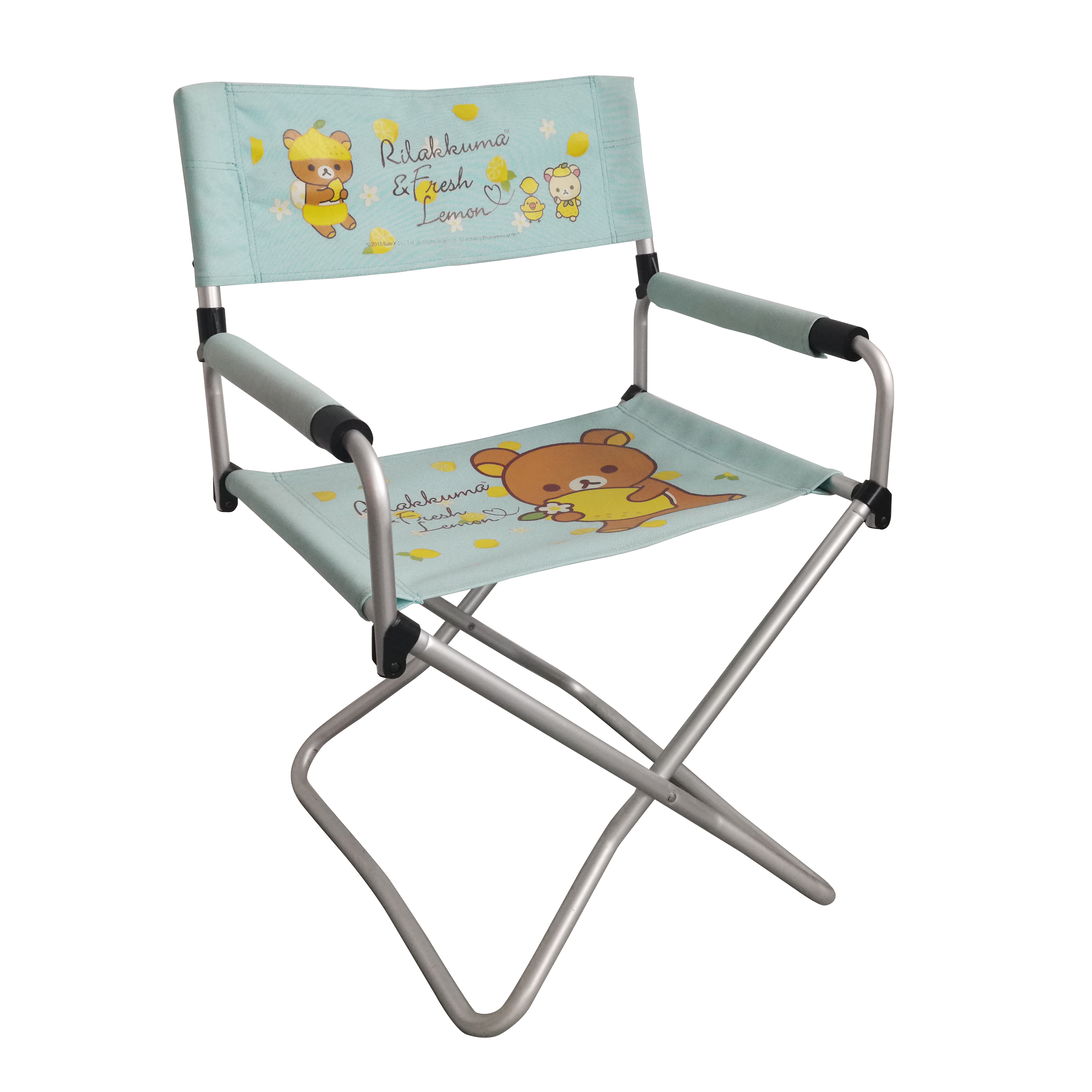 Aluminum Director Chair