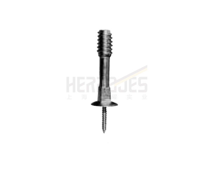 Lag Screw Pins