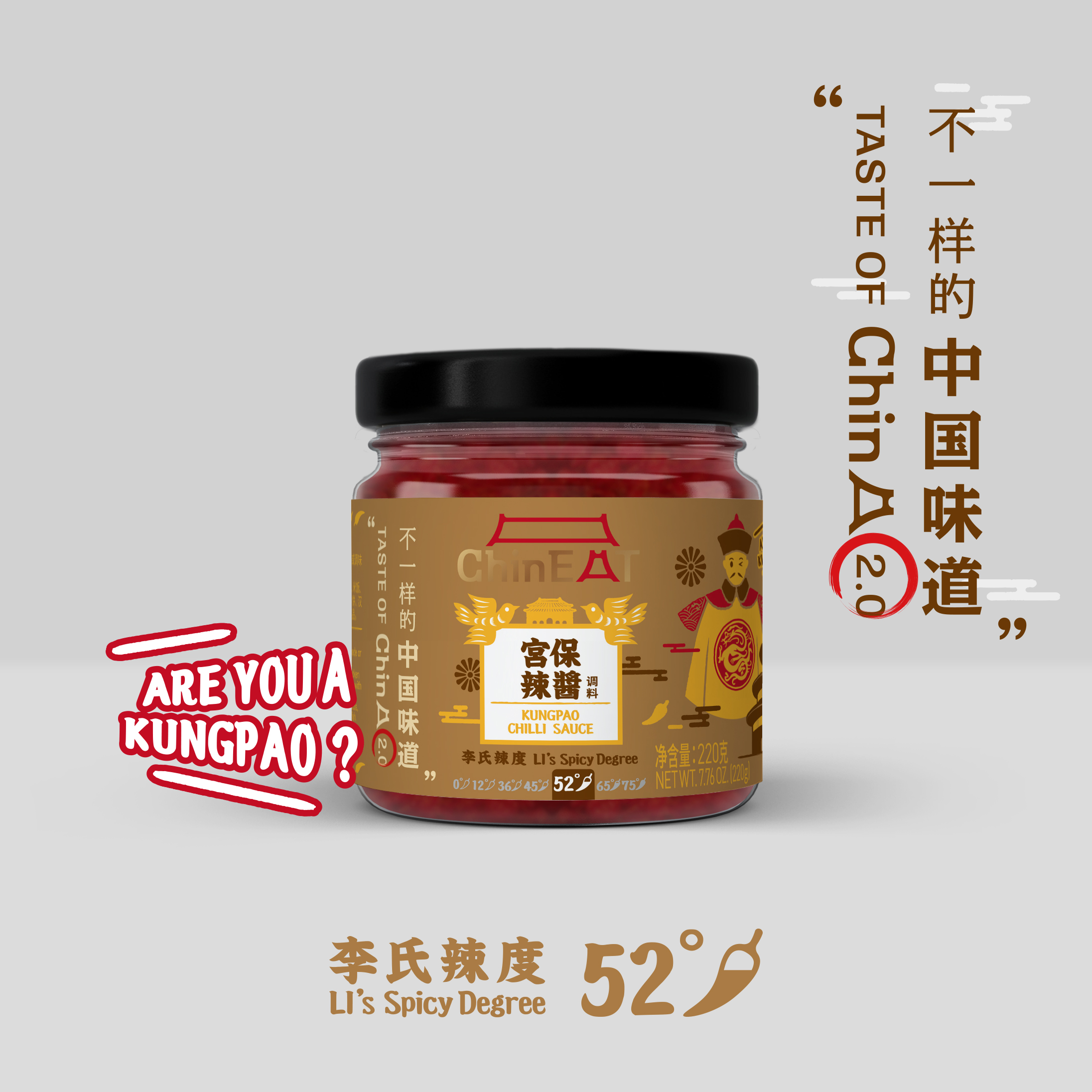CHONGQING DEZHUANG INTERNATIONAL TRADING CO.,LTD – bicicleta de montaña 3