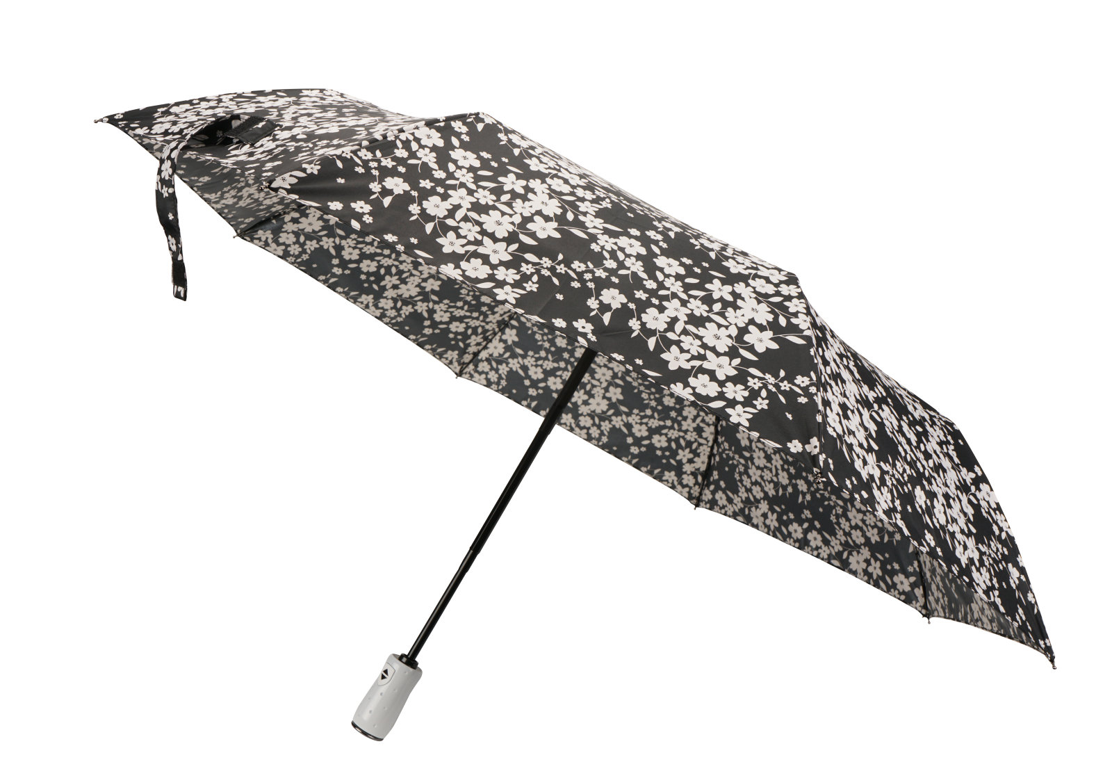 Umbrella umbrella umbrella umbrella umbrella umbrella umbrella umbrella umbrella umbrella umbrella umbrella umbrella umbrella umbrella umbrella umbrella umbrella umbrella umbrella umbrella umbrella umbrella umbrella umbrella umbrella