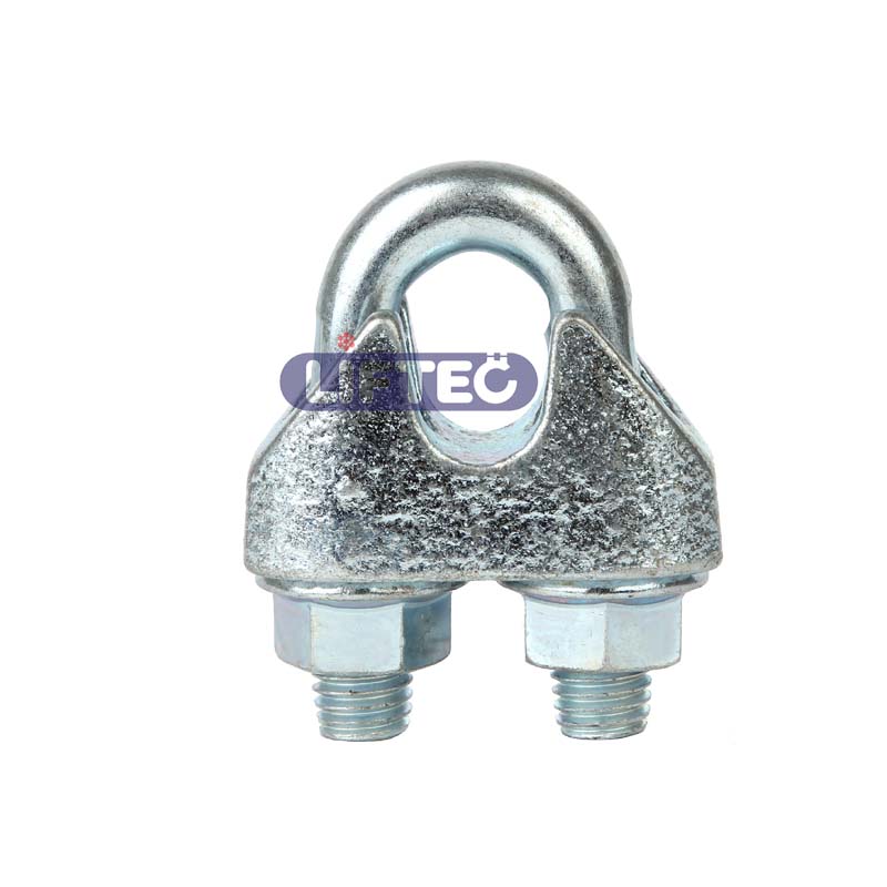 DIN1142 Wire Rope Clip
