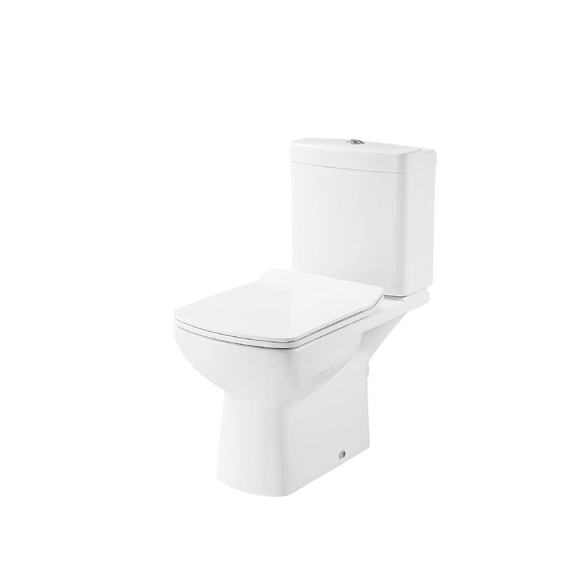 HDC201NP+HDS201D HUIDA MELBOURNE Washdown Two-piece Toilet-Square Style