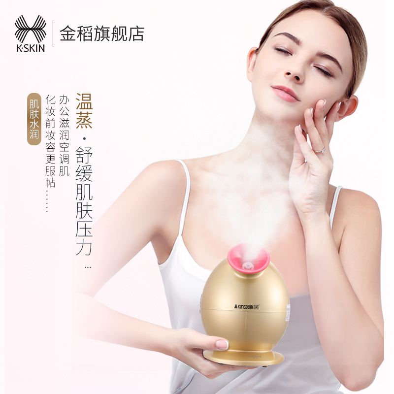 Facial steamer
