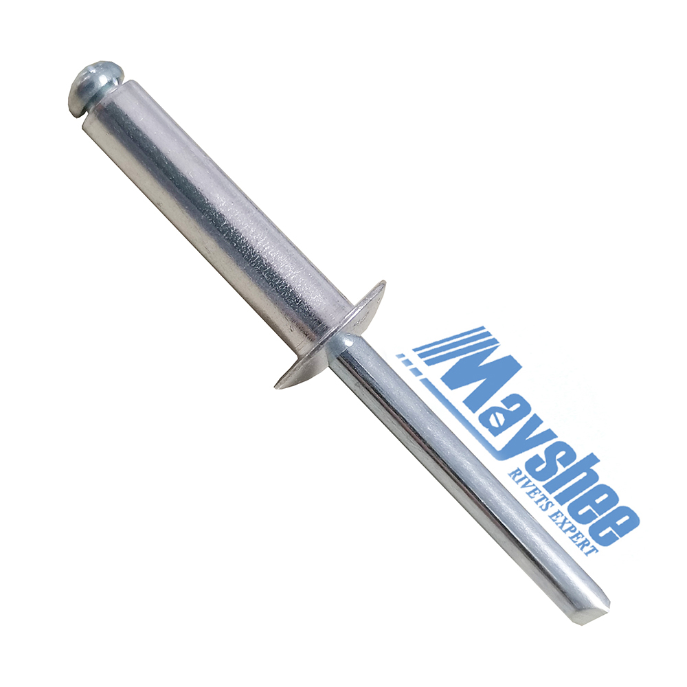 Rivets/Blind Rivets/Ss304 Blind Rivets/Stainless Steel Blind Rivets