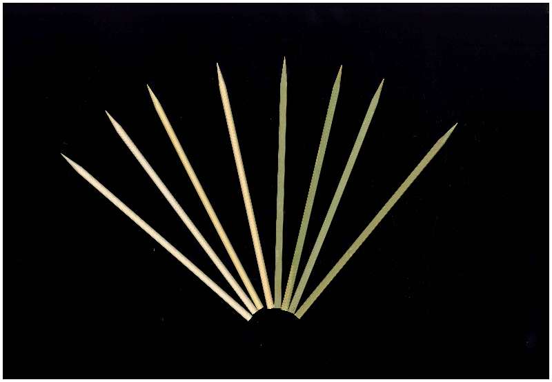 Square Skewer