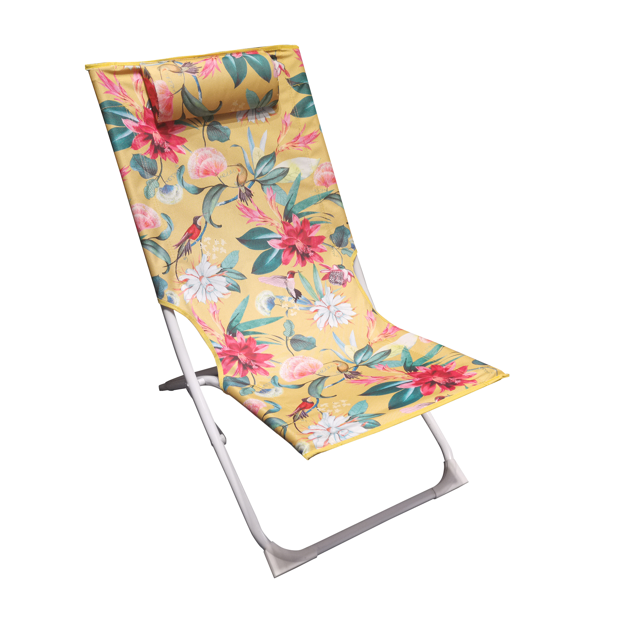 Beach Chair
