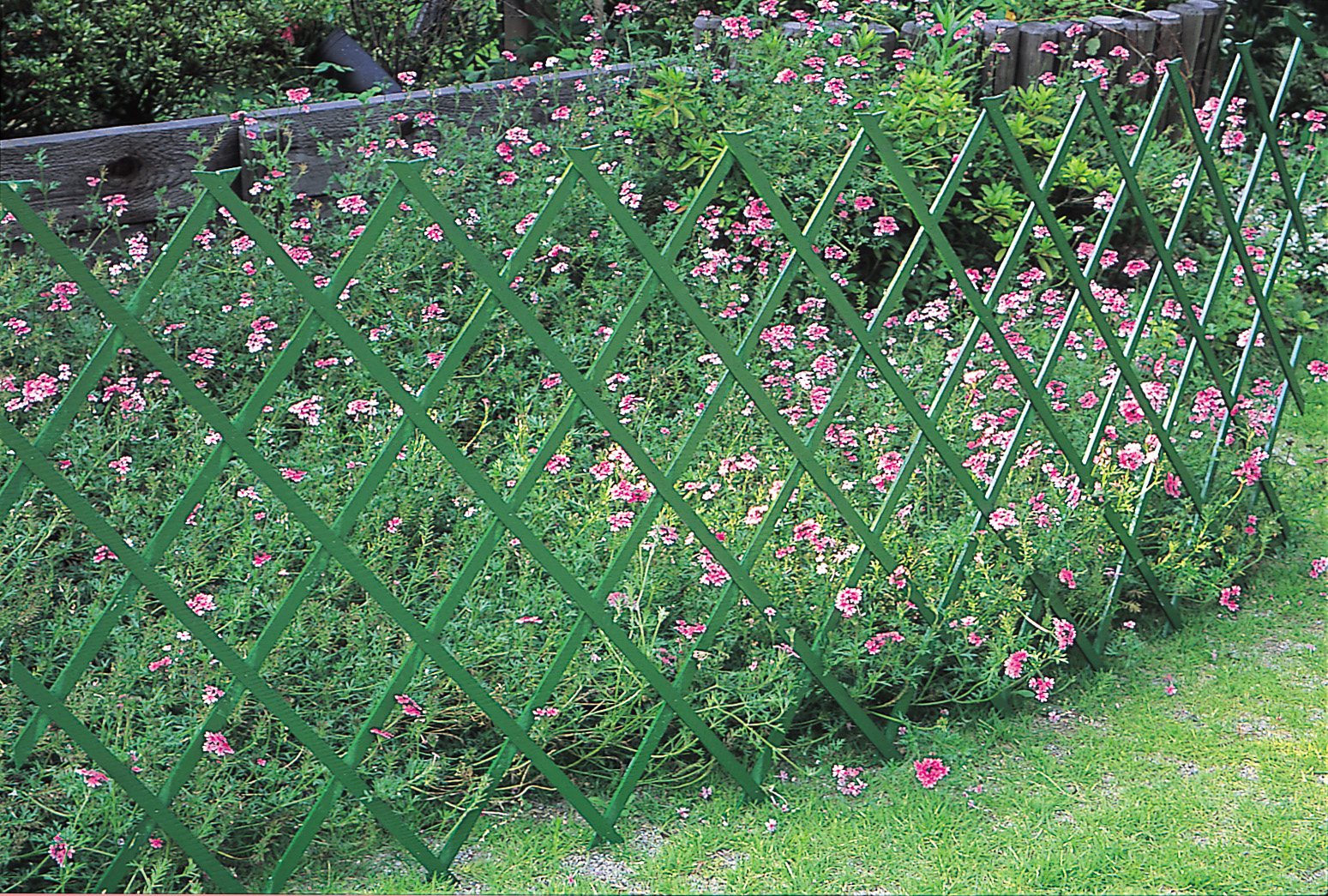 Wood expandable trellis 60x180 green