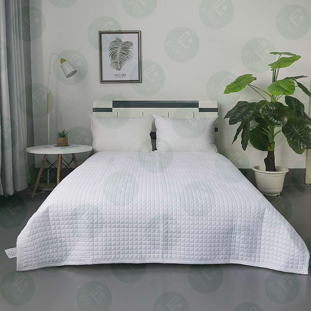 HANGZHOU BANFF DOWN-FEATHER PRODUCTS CO., LTD – funda de almohada 2