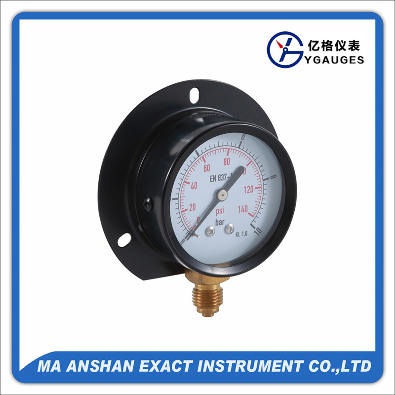 Dry pressure gauge, bottom connection, black steel case, with back flange,brass connection