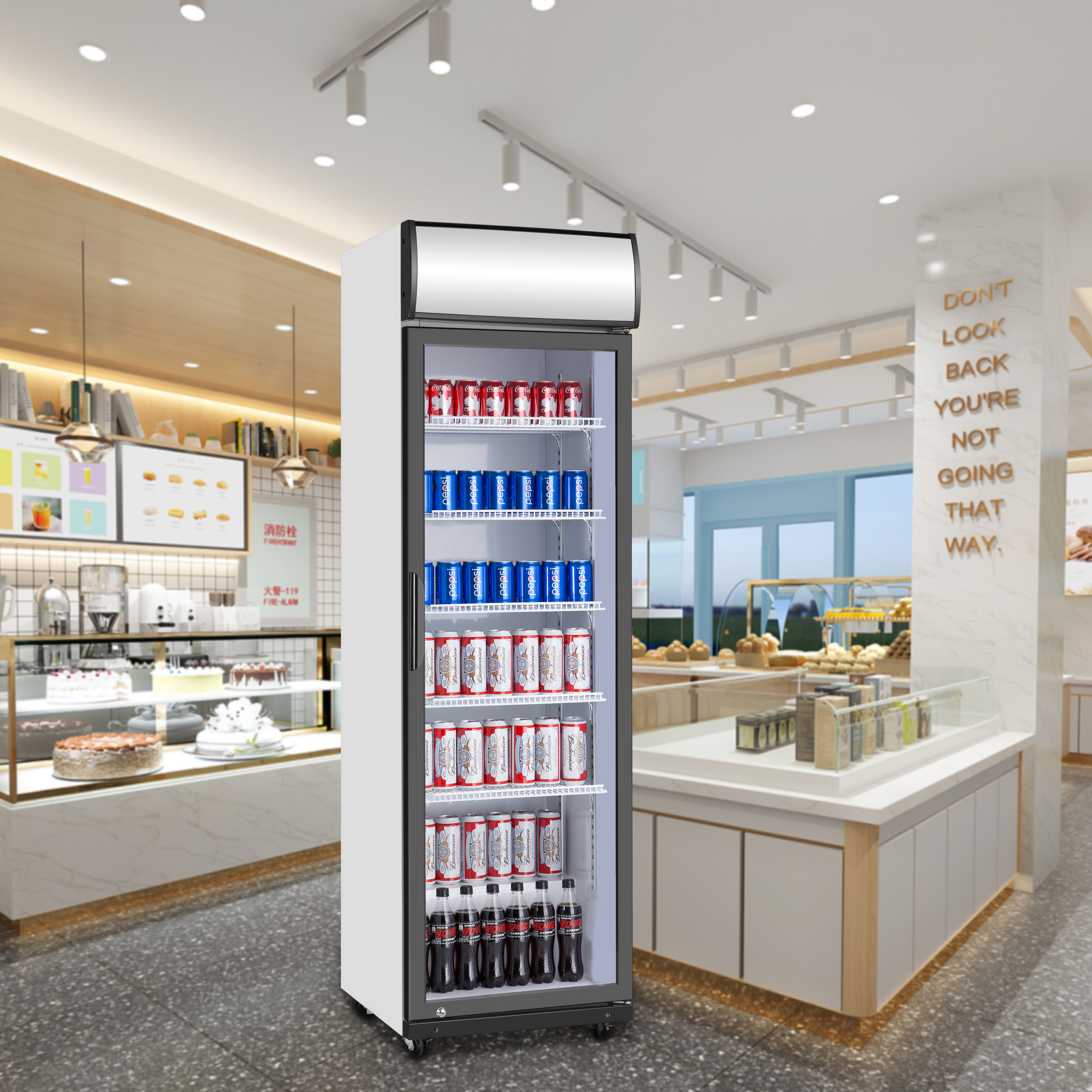 Single-Door Upright Display Cooler