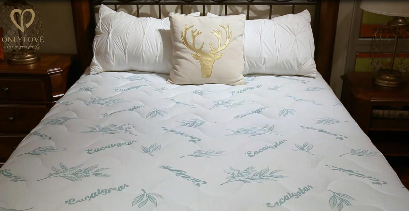 Premium Hypoallergenic Eucalyptus Scented quilted Mattress Pad - Top with TPU Waterproofing, china factory