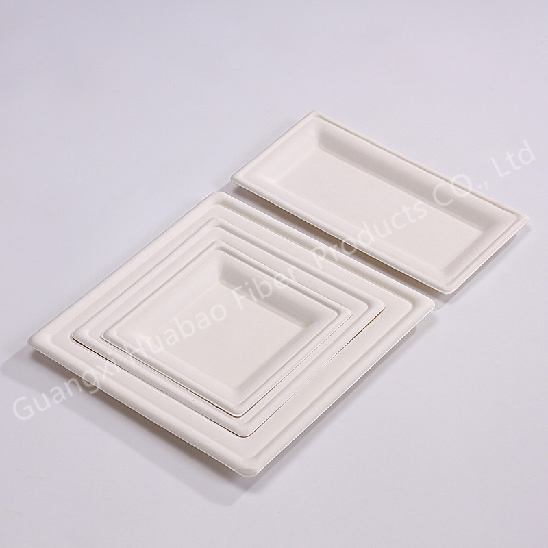 compostable biodegradable food tray