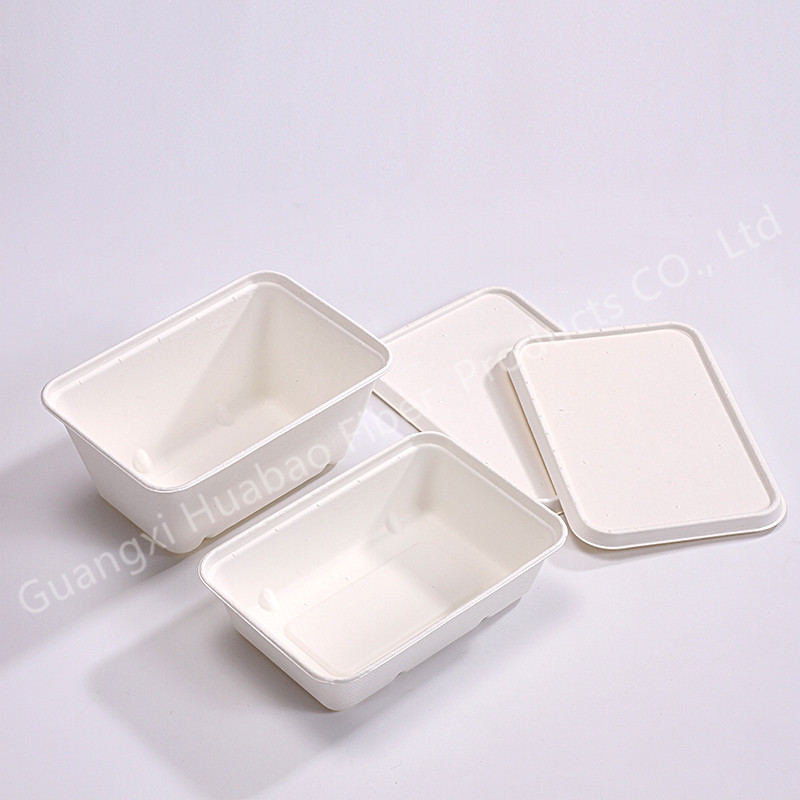 Biodegradable packaging products eco-friendly disposable bagasse pulp food container for office