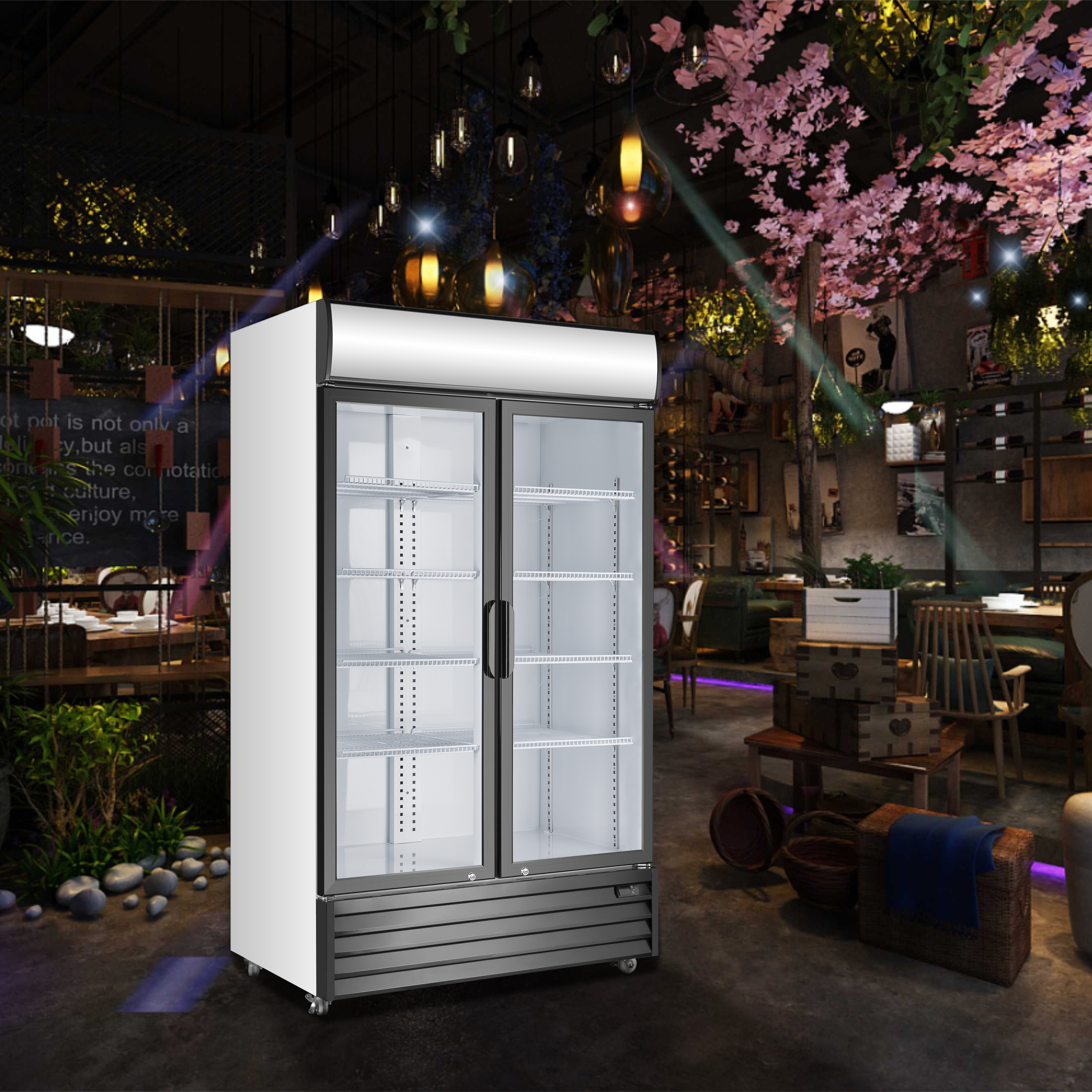 Upright Display Freezer