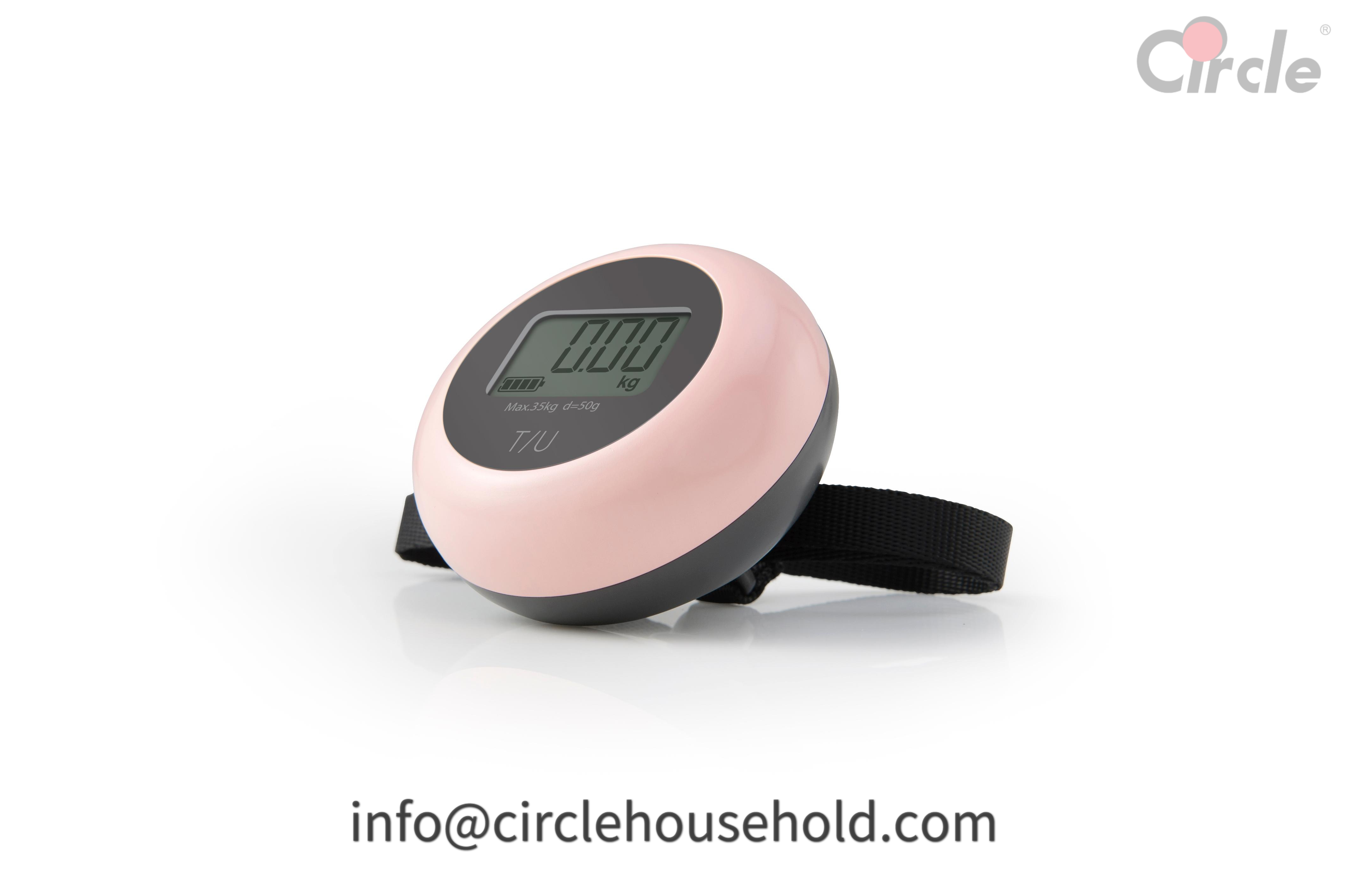 Electronic luggage scale
