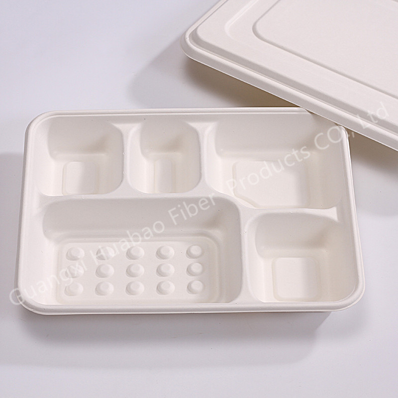 Disposable 5 compartment school tray with lid