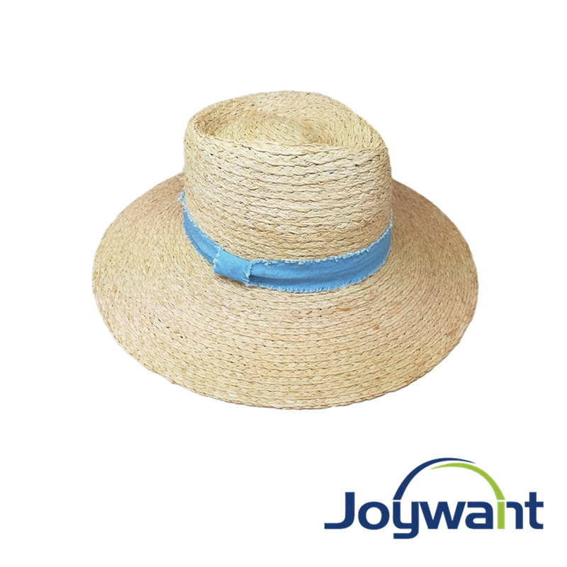 Raffia fedora