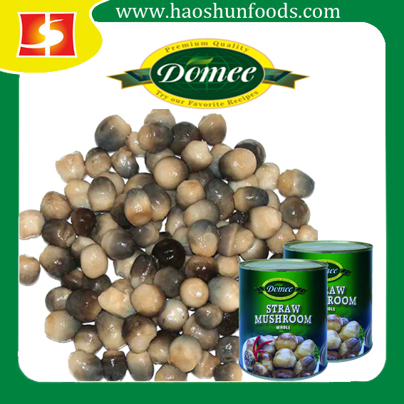 ж1canned Straw Mushroom