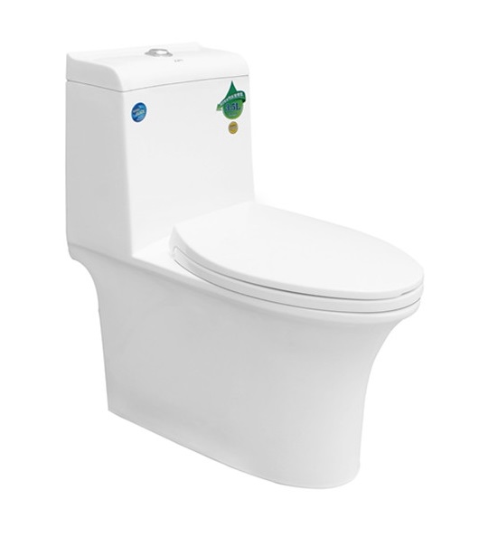 Cyclone one piece toilet P-trap 180mm and S-trap 220mm; 300mm