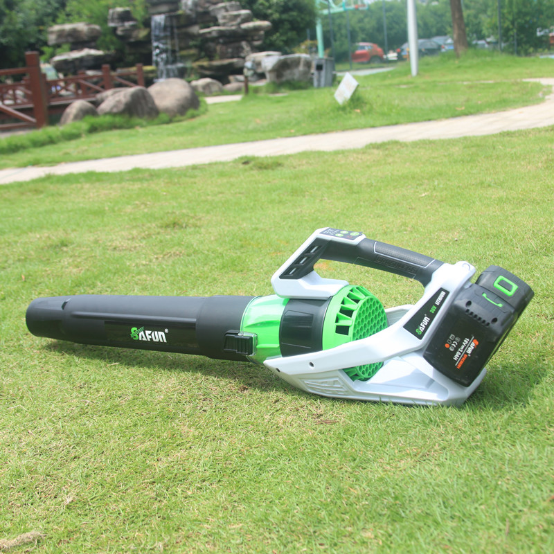 40V Lithium blower