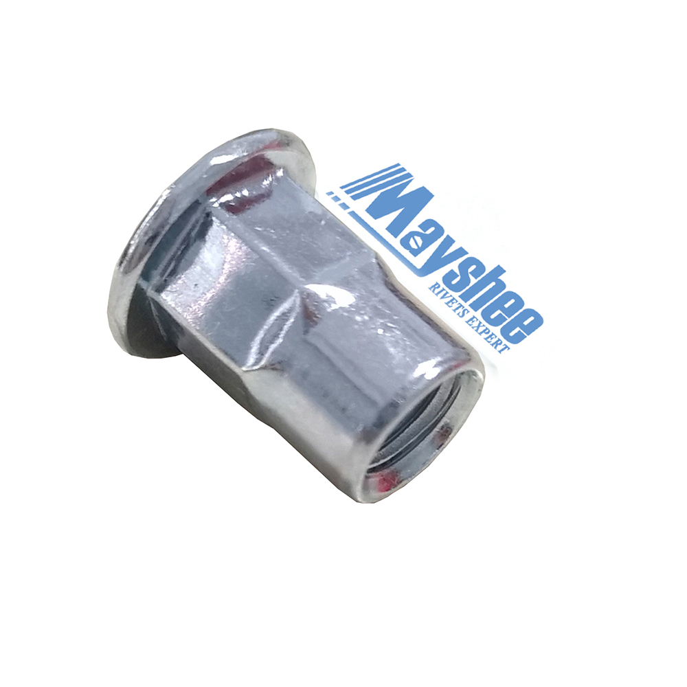 Blind Rivet Nut/Flat Head Blind Rivet Nuts/Hex Body Rivet Nuts/Semi-Hex Insert Nut