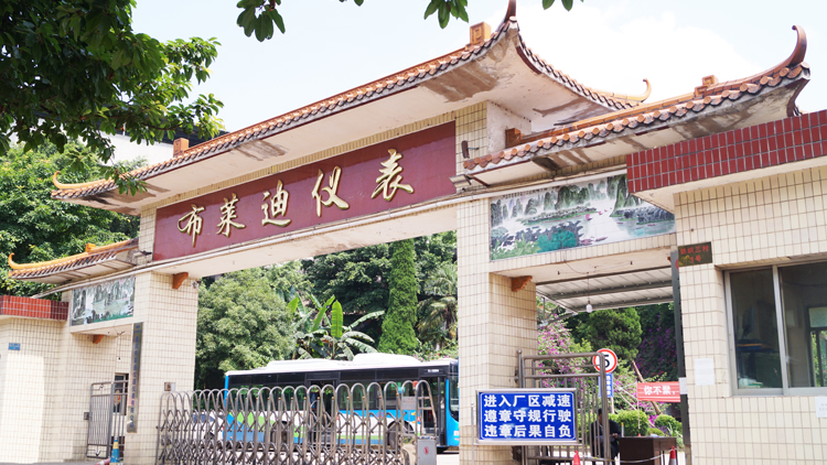 Chongqing Tuao Trading Co., Ltd. – Electric hoist 1