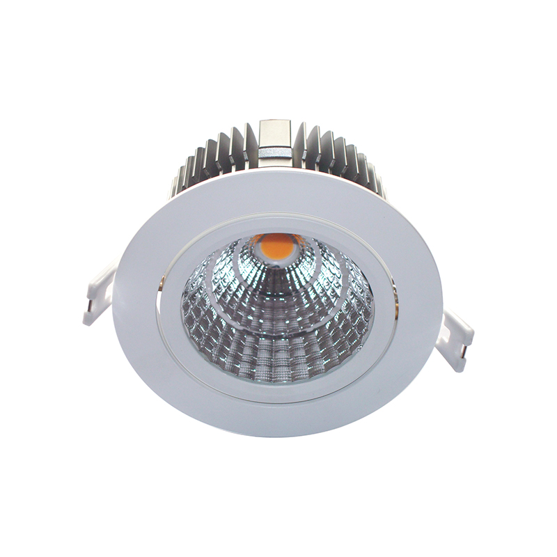 COB Down Light