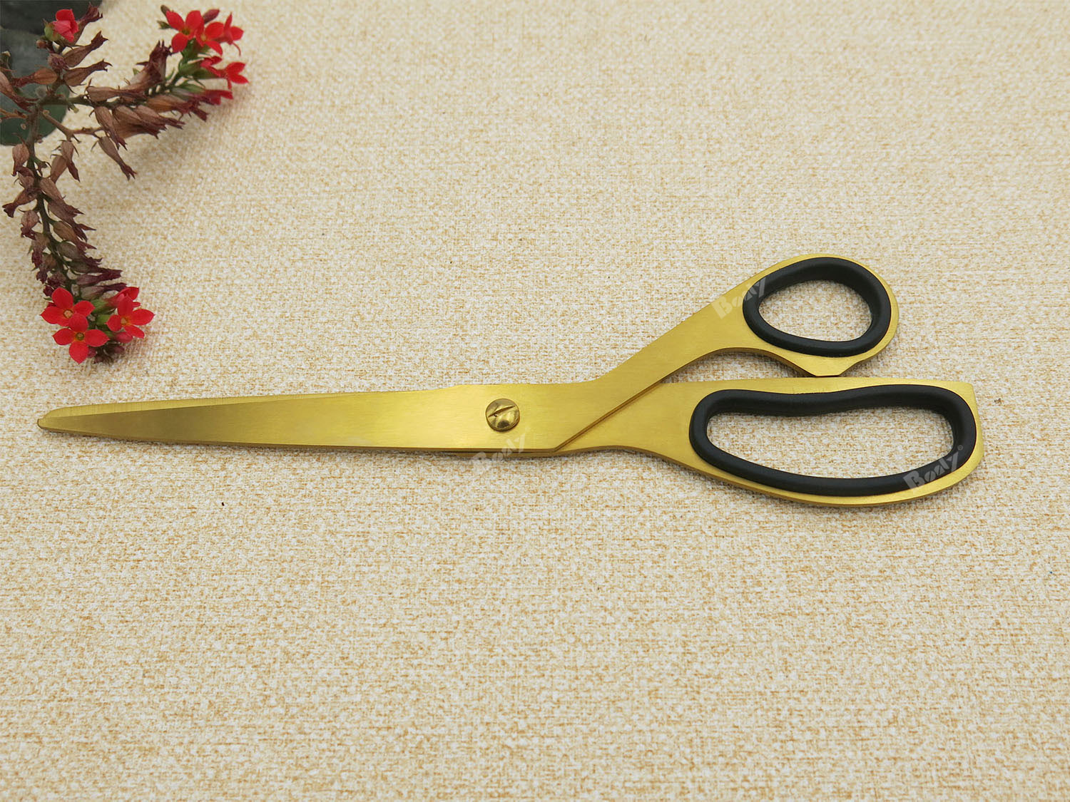 Scissors