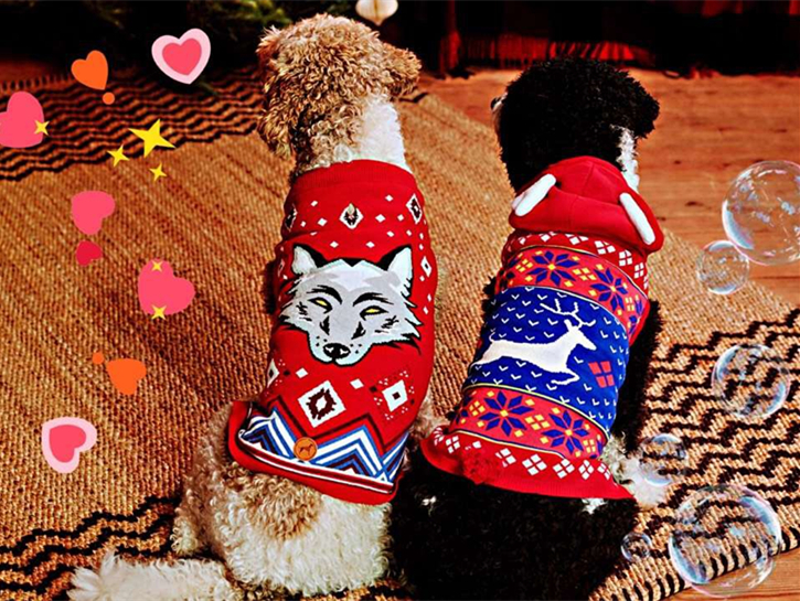 12G dog sweater