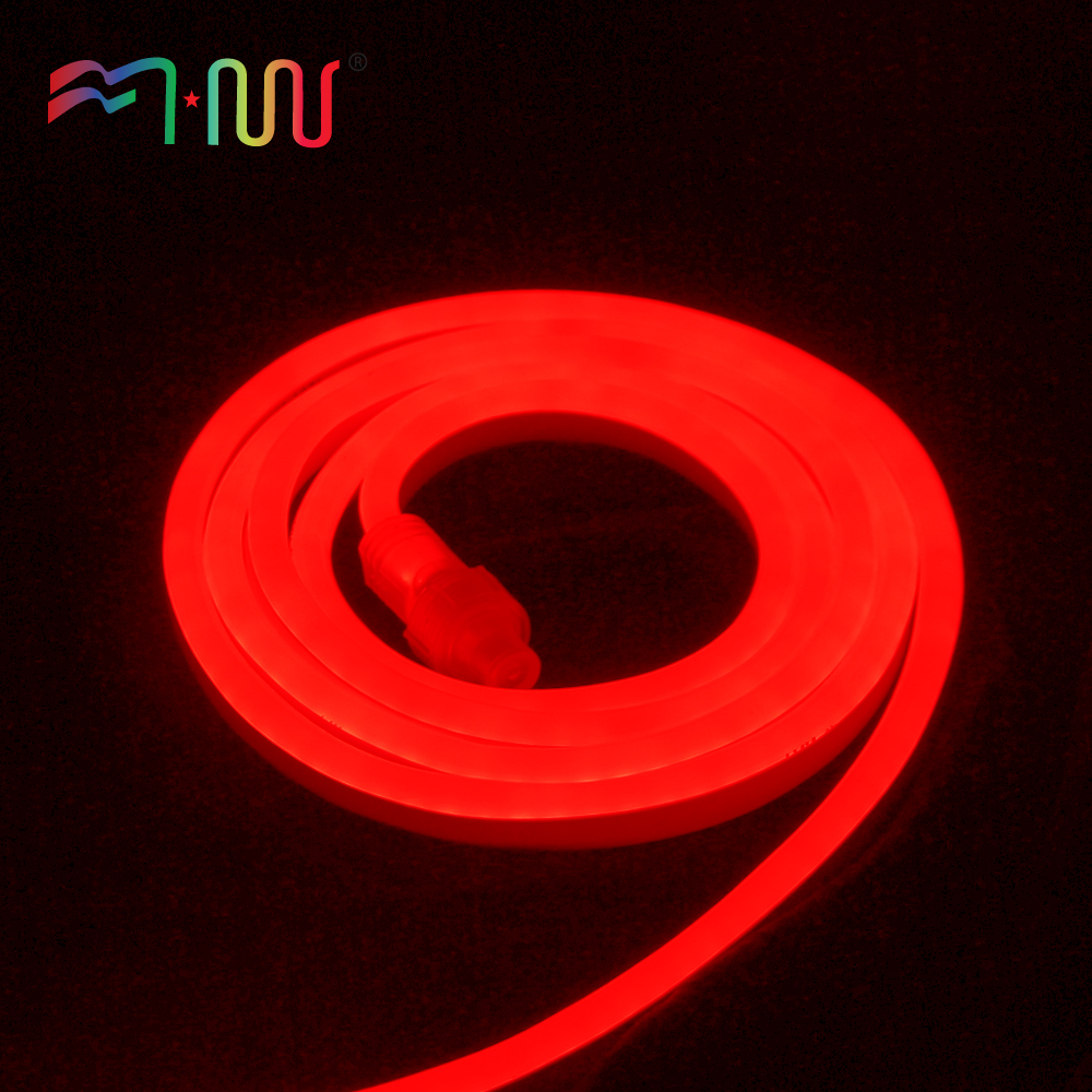 LED Neon Light Flexible neon light LED strip light 8*16mm 120LED/m ETL certification decoration 110V-220V light for home garden