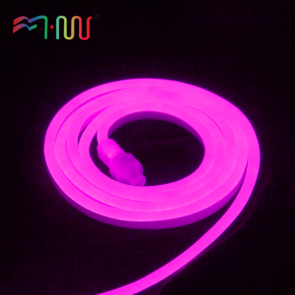 LED Neon Light Flexible neon light LED strip light 8*16mm 120LED/m ETL certification decoration 110V-220V light for home garden