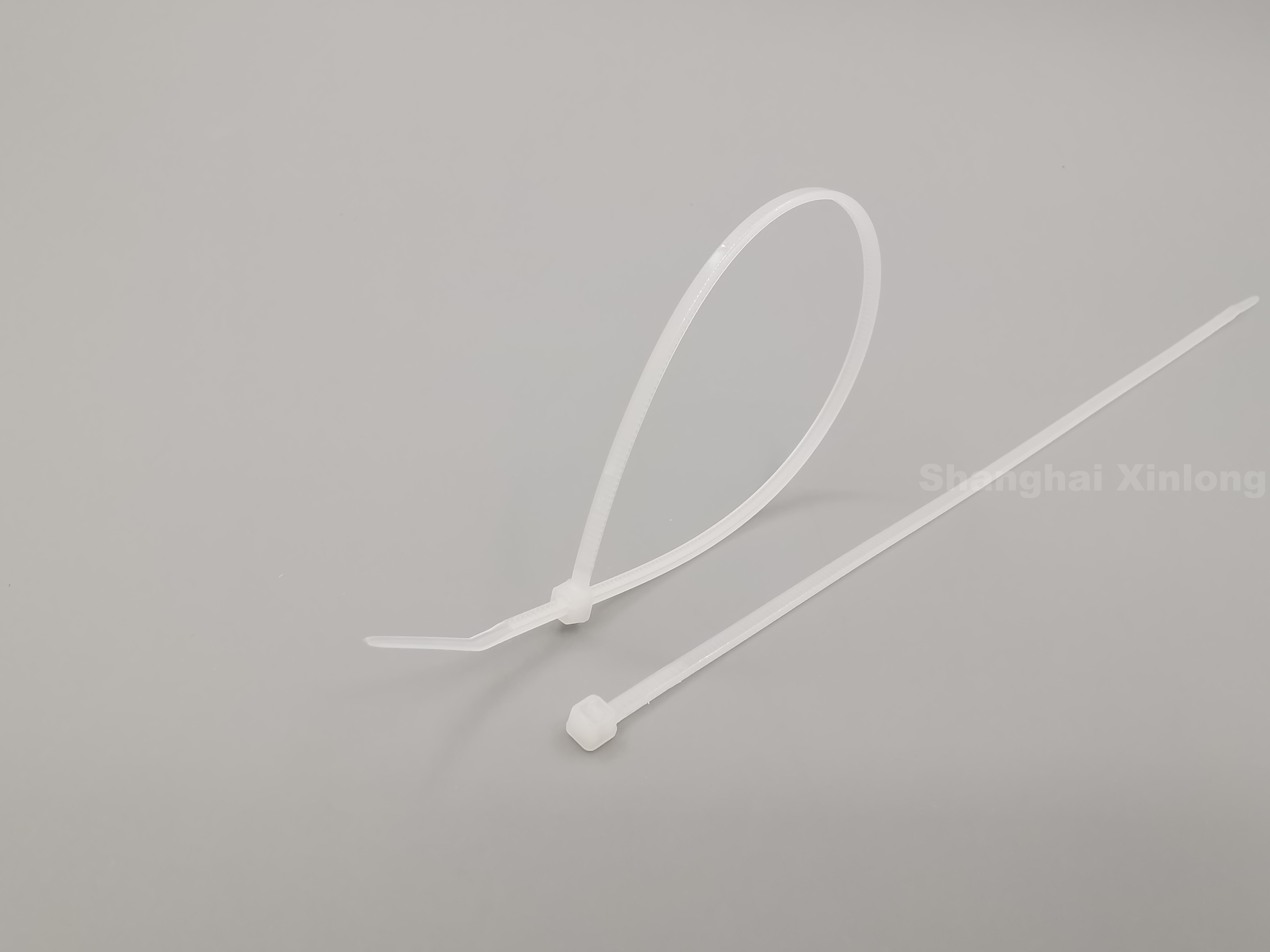 SHANGHAI  XINLONG  PLASTIC  MANUFACTURE  CO.,LTD – LTD 2
