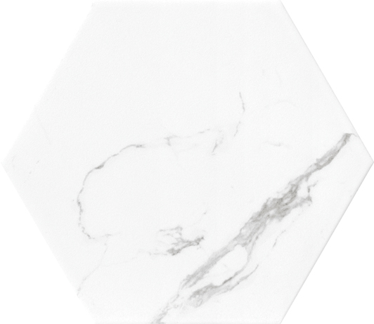 Rustic Tiles Hexagonals Tile Nf-Lgx 200*230mm /260*300mm