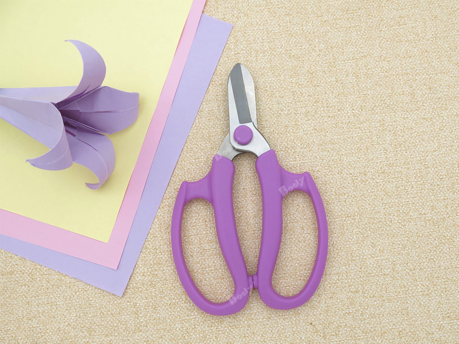 Scissors