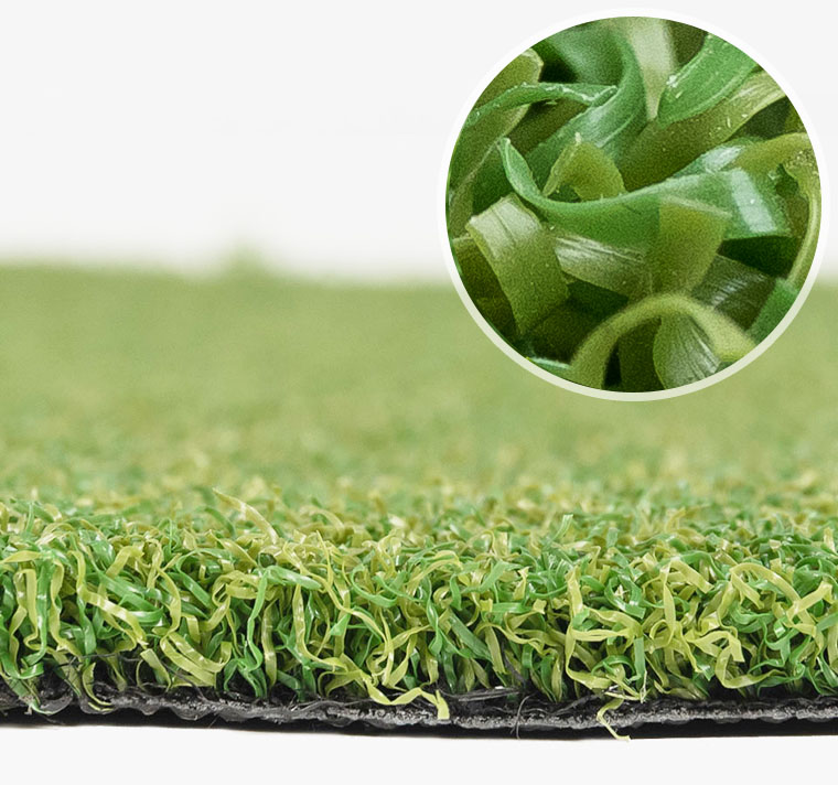 Golf putting green grass