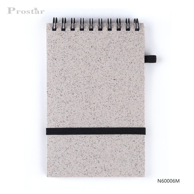 Prostar Notebook