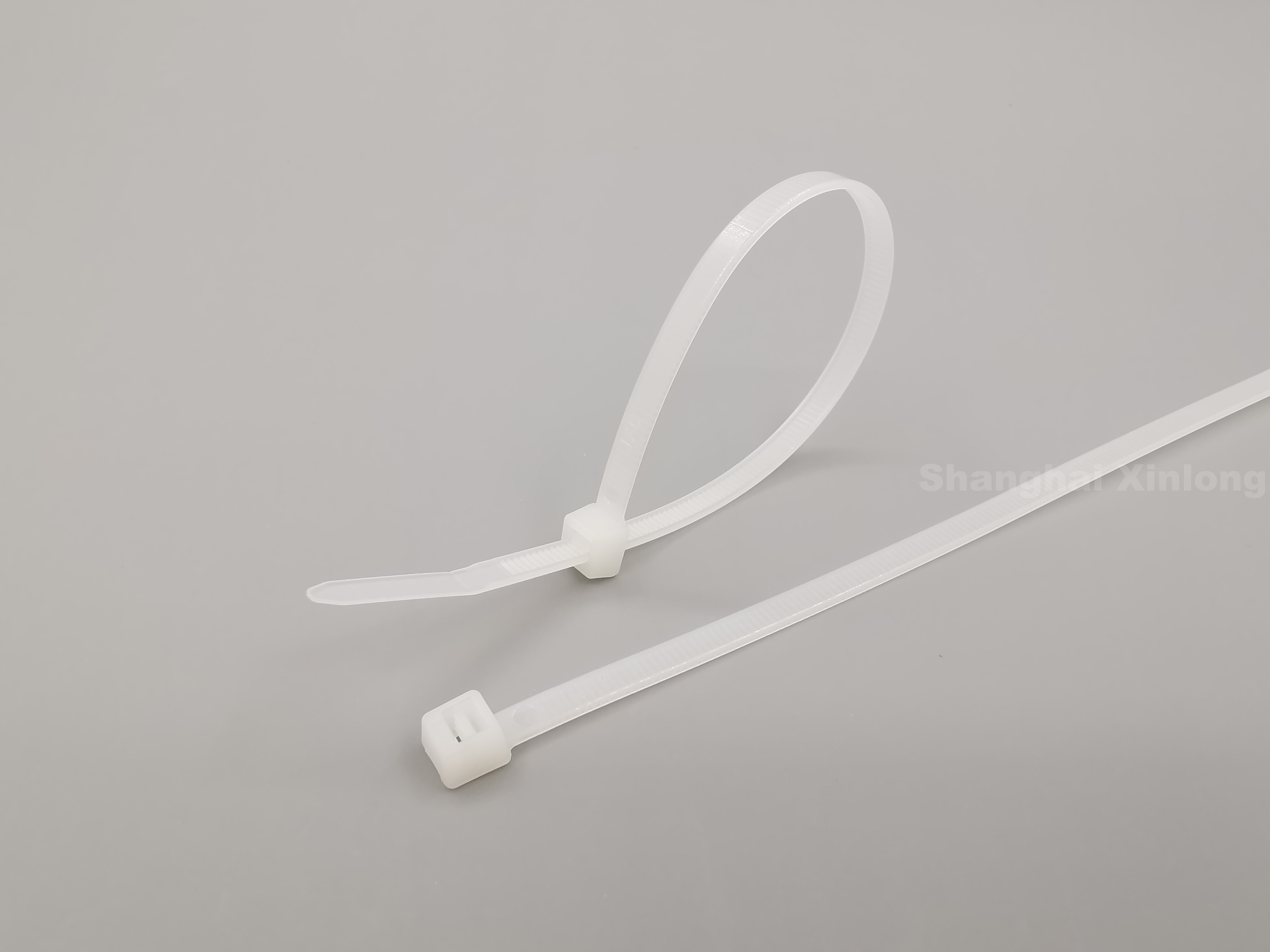 SHANGHAI  XINLONG  PLASTIC  MANUFACTURE  CO.,LTD – SHANGHAI XINLONG PLASTIC MANUFACTURE CO. 1