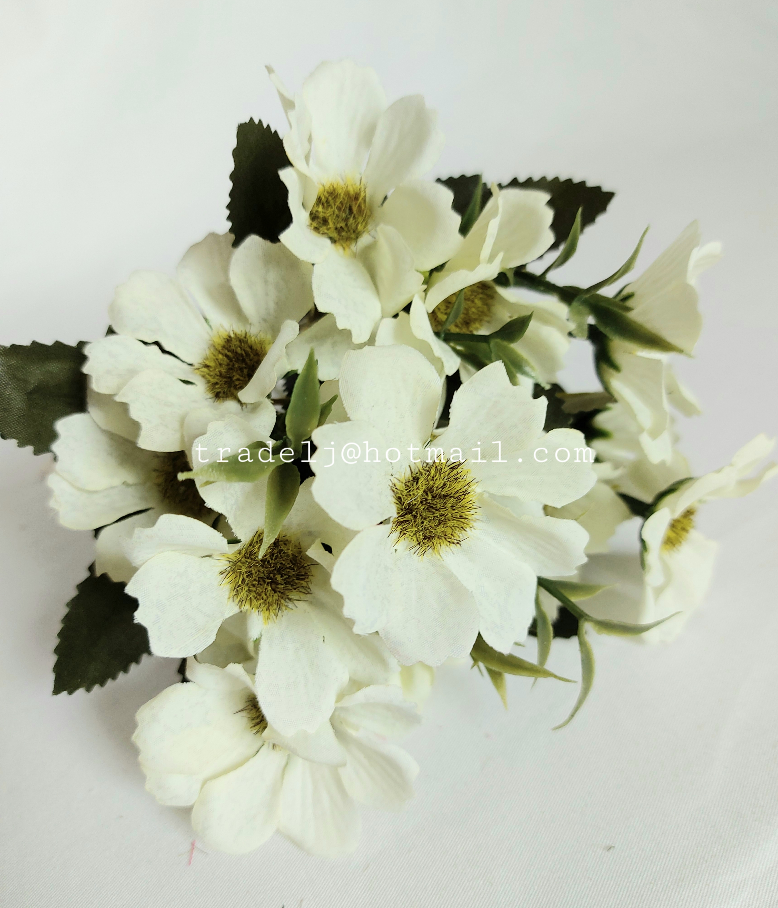 TIANJIN NATIVE PRODUCE IMP.& EXP.GROUP CORP.,LTD. – vela aromática 2