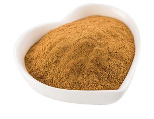 ginkgo biloga protein