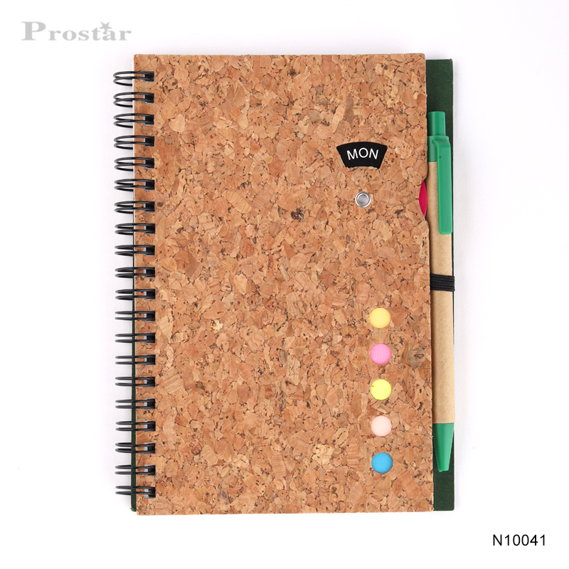 Prostar Notebook