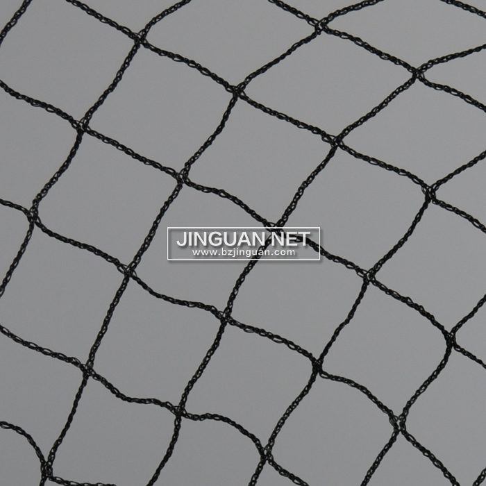 Bird Net