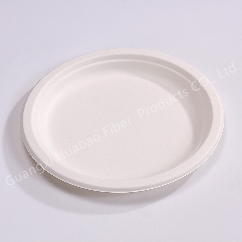 Biodegradable and Compostable Sugarcane Pulp 10 Inch Plate