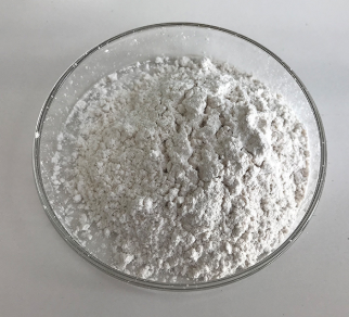 Vitamin D protein